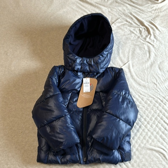 GAP Other - GAP Toddler Jacket